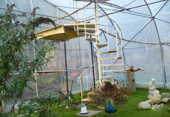 Aviary Tarp - Heavy Duty Tarps
