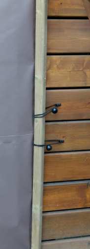 Ball bungees attached to a piece of wood
