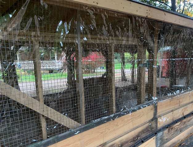 Chicken coop with clear tarp covering