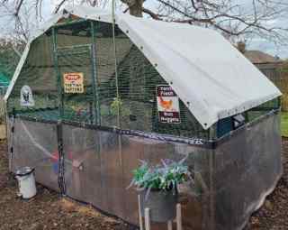 Tarps for Chicken Coops - Chicken Run With White Roof Tiny
