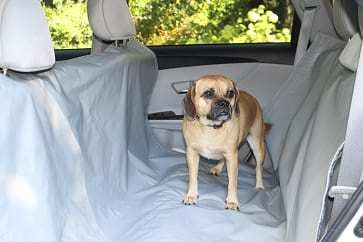 Dog car seat cover