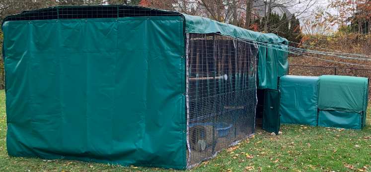 Hen house protected by tarps