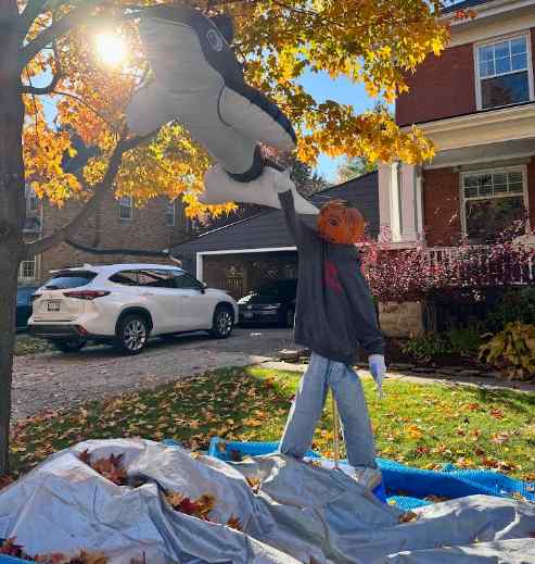 Tarp featured in West Galt Pumpkin People display of Free Willy